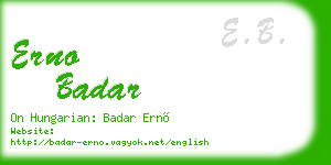 erno badar business card