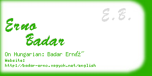 erno badar business card